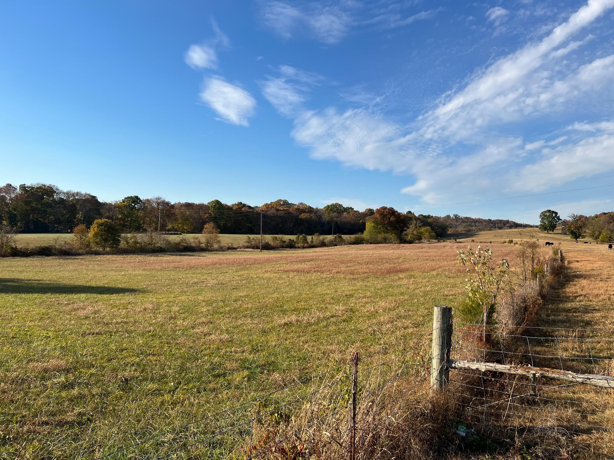 655 Chipman Road Bethpage TN 37022
