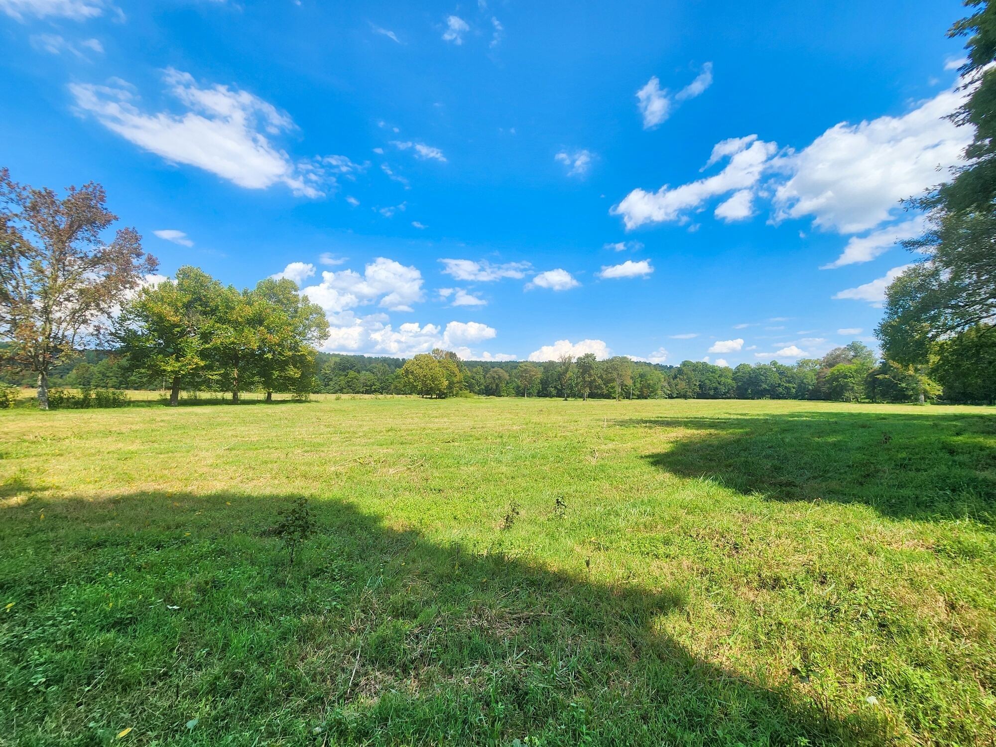 8312 Middle Butler Road Iron City TN 38463