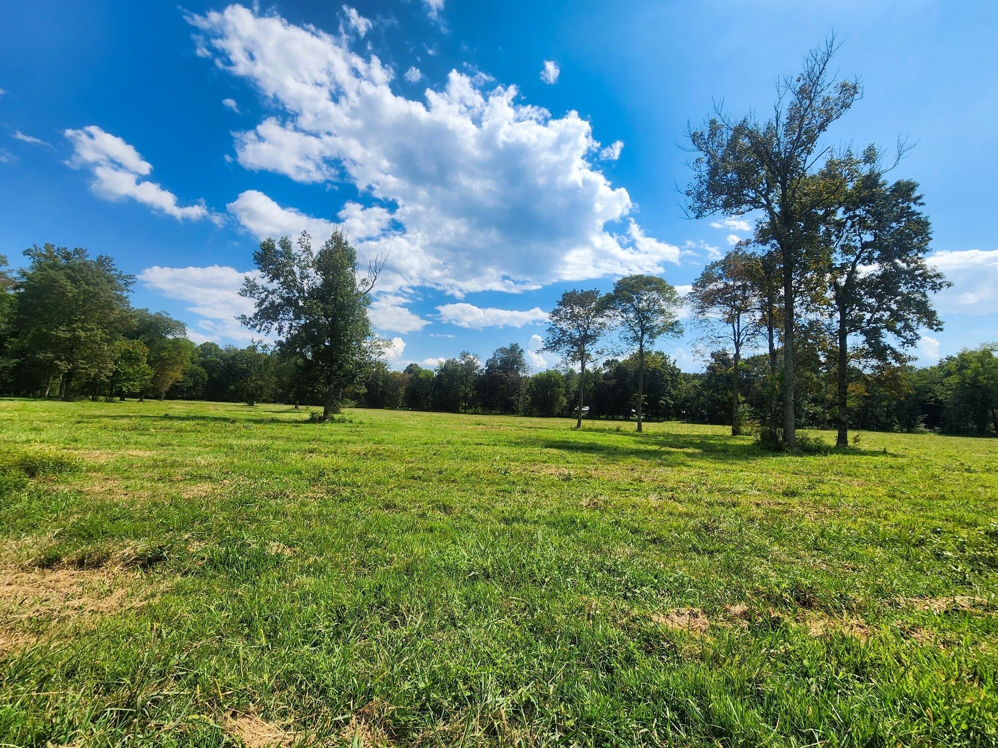 8312 Middle Butler Road Iron City TN 38463