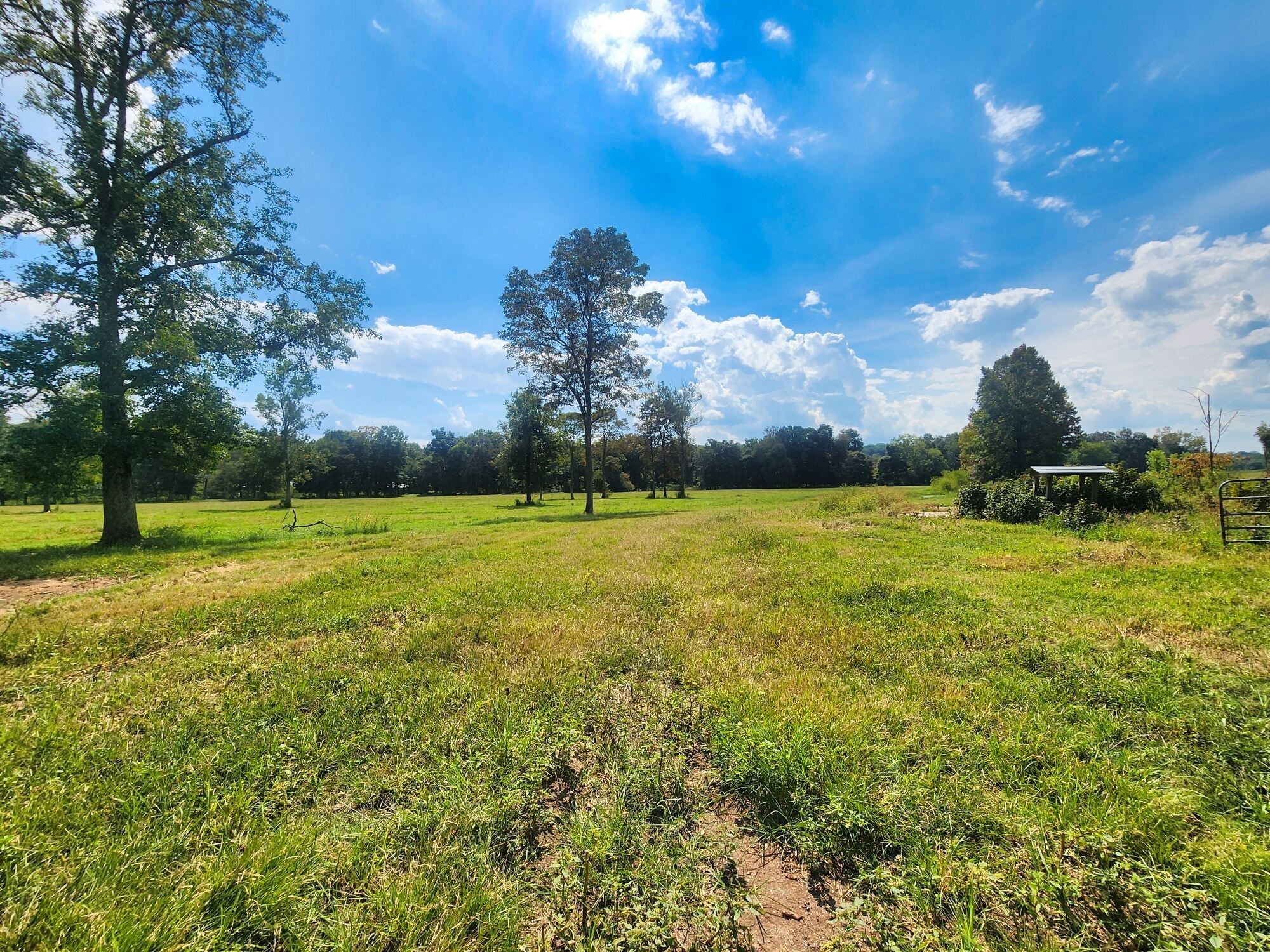 8312 Middle Butler Road Iron City TN 38463