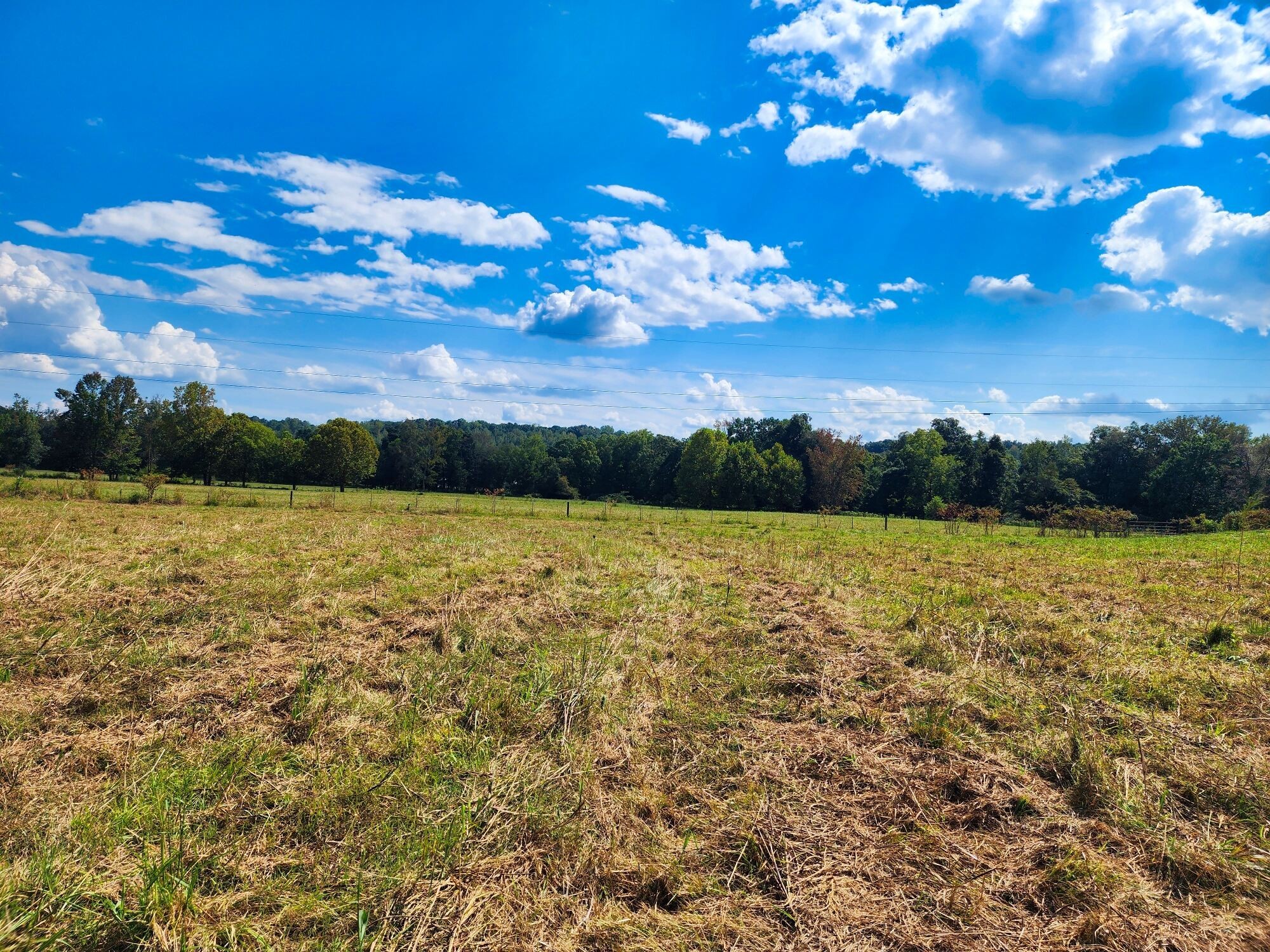 8312 Middle Butler Road Iron City TN 38463