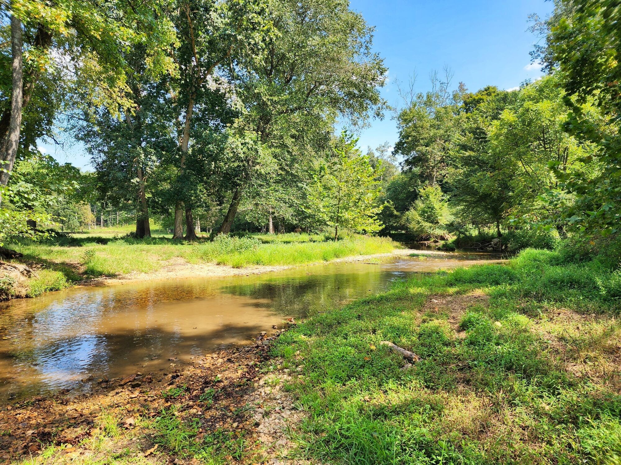 8312 Middle Butler Road Iron City TN 38463