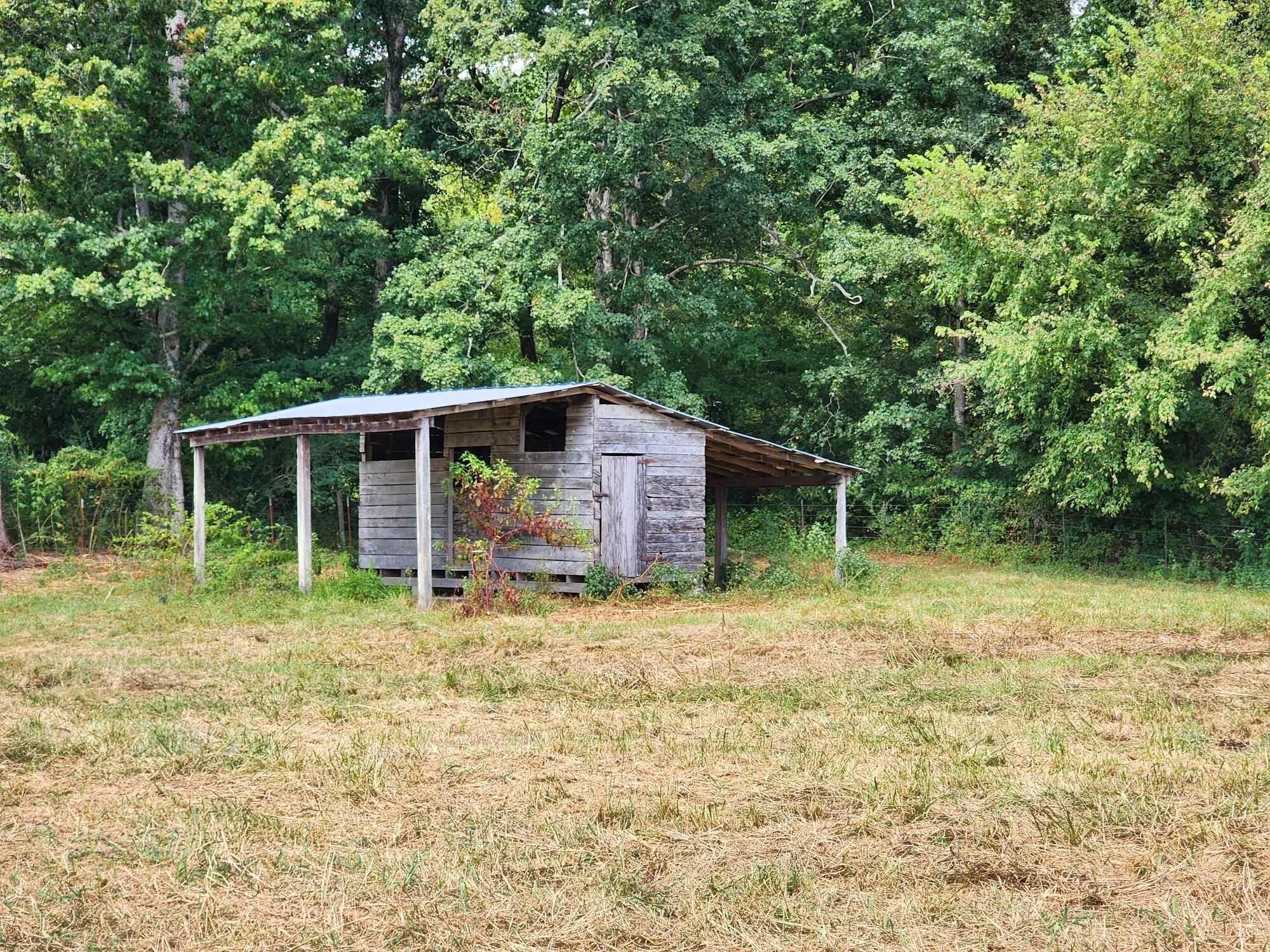 8312 Middle Butler Road Iron City TN 38463