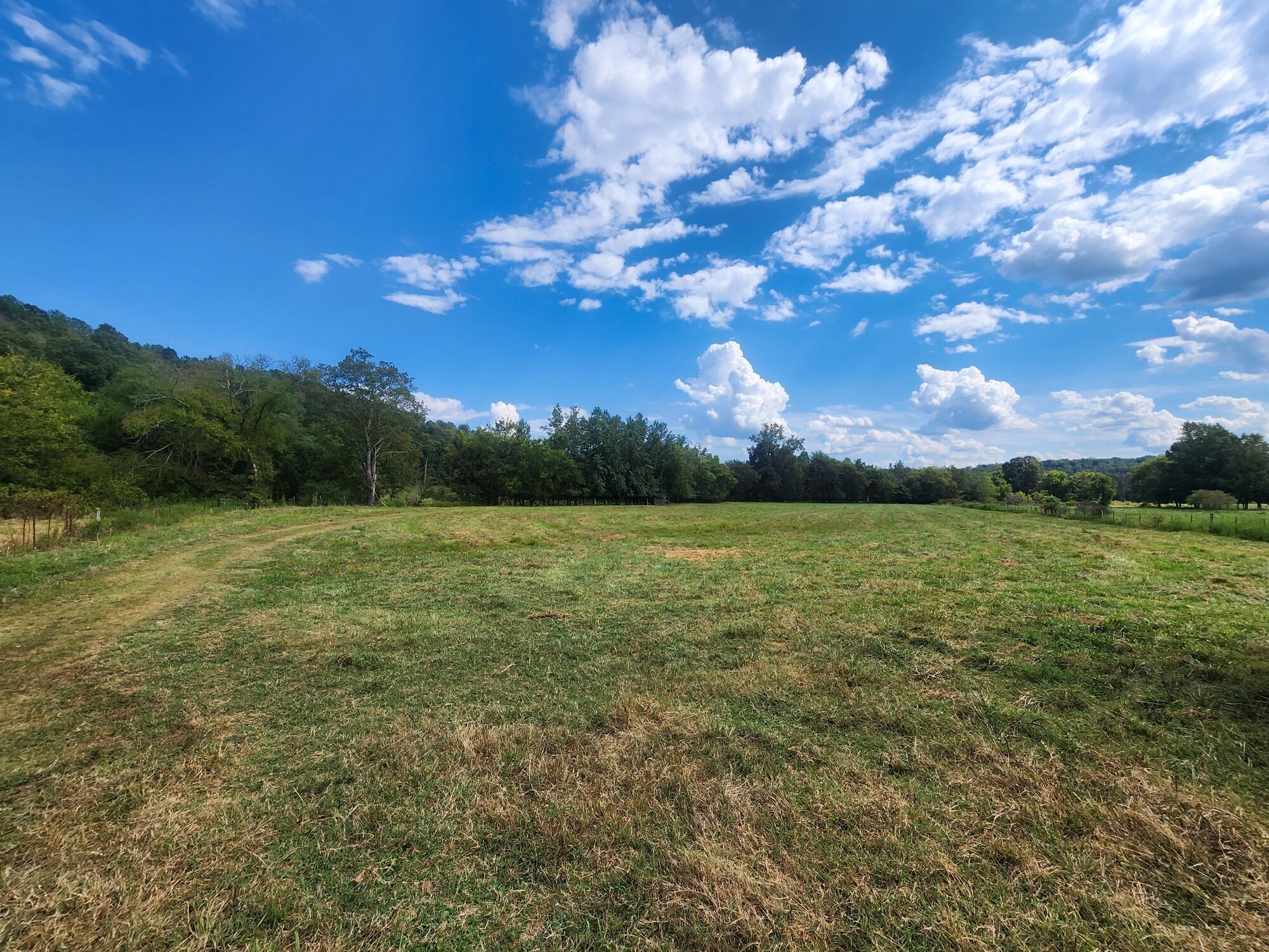 8312 Middle Butler Road Iron City TN 38463