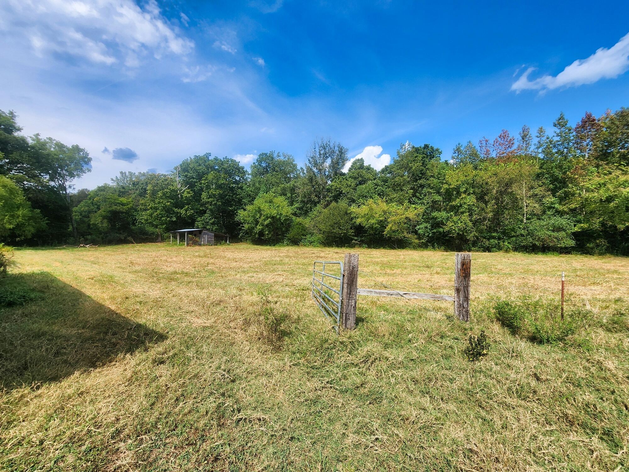 8312 Middle Butler Road Iron City TN 38463