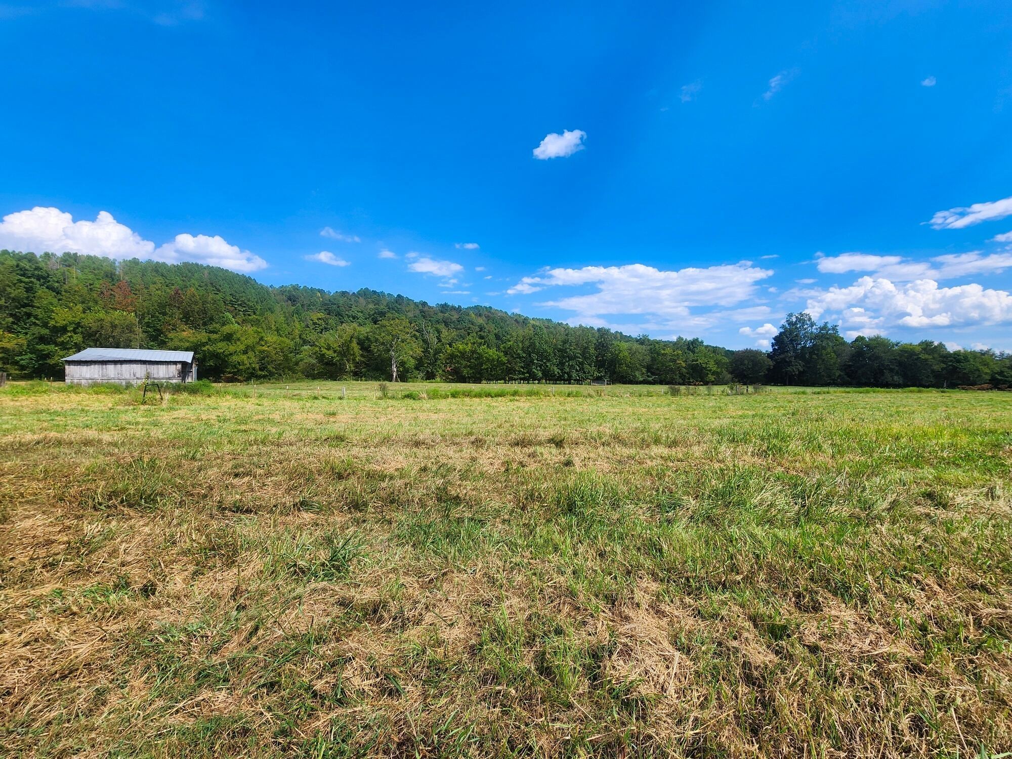 8312 Middle Butler Road Iron City TN 38463