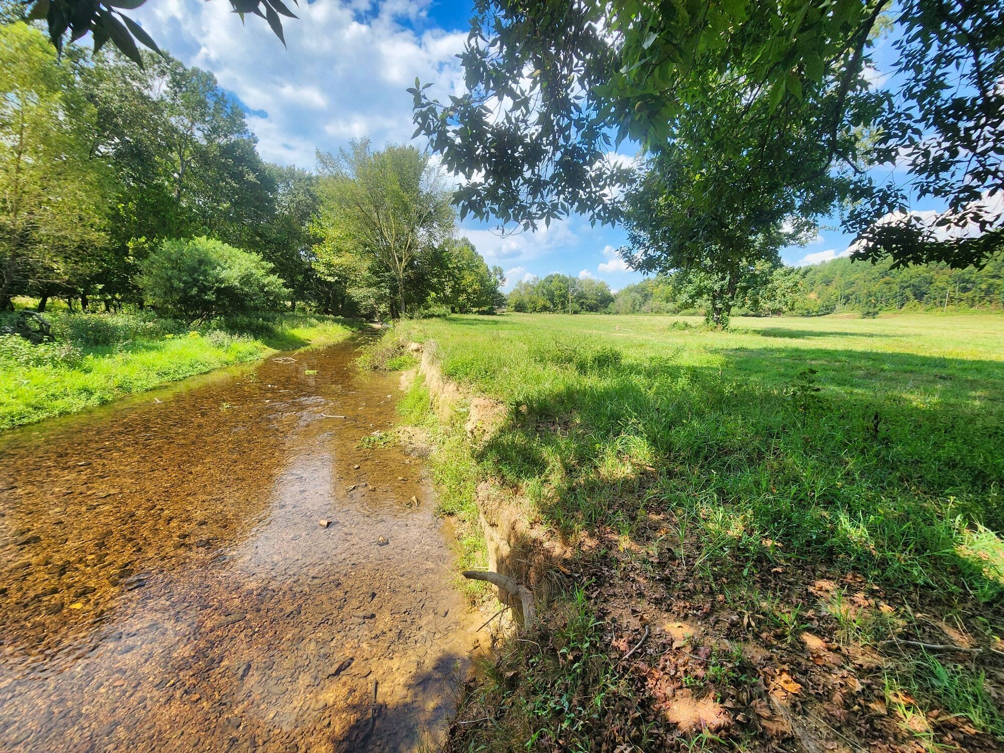 8312 Middle Butler Road Iron City TN 38463