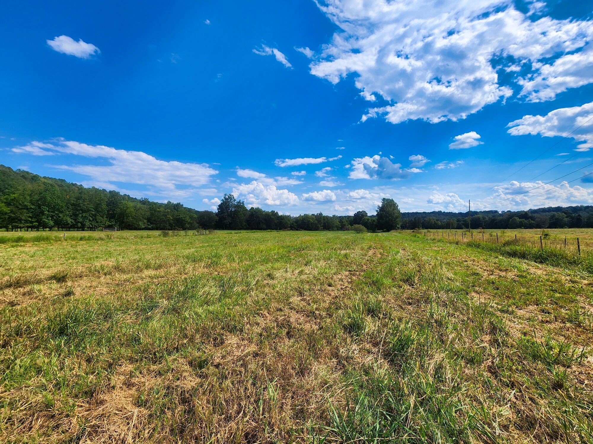 8312 Middle Butler Road Iron City TN 38463