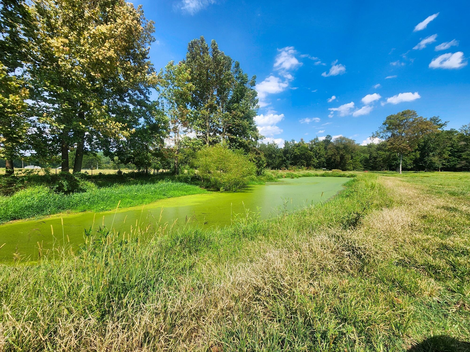8312 Middle Butler Road Iron City TN 38463