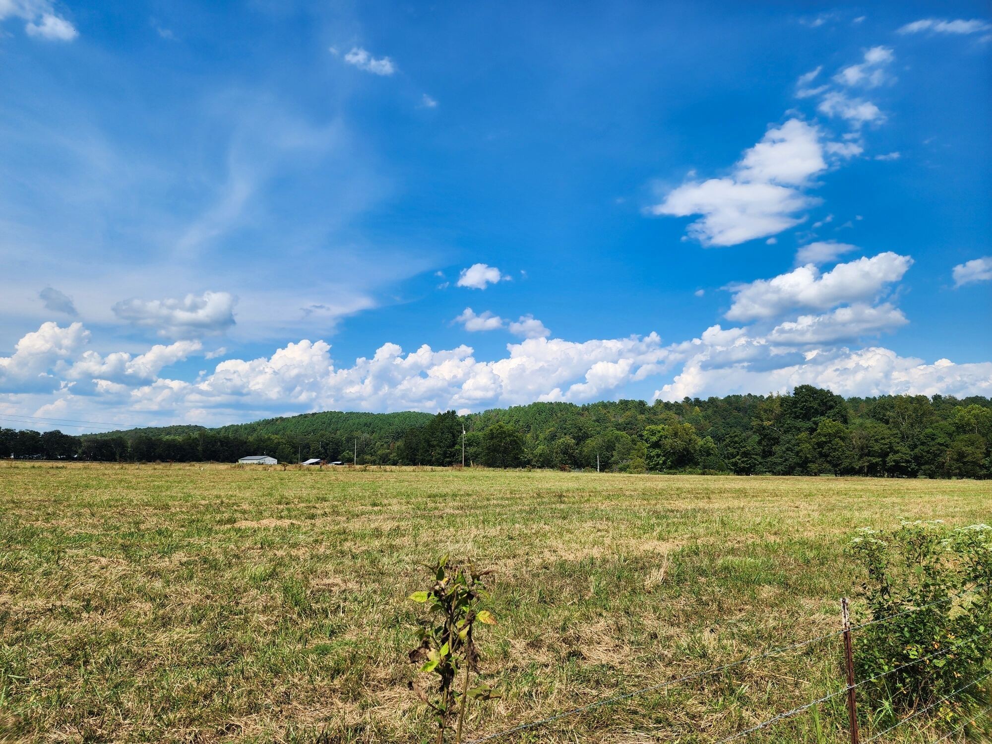 8312 Middle Butler Road Iron City TN 38463