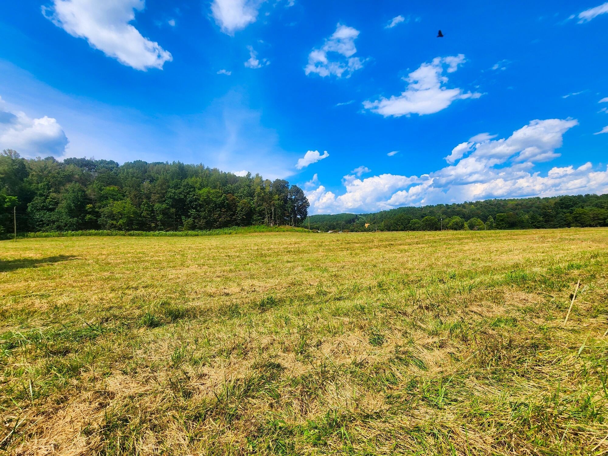 8312 Middle Butler Road Iron City TN 38463