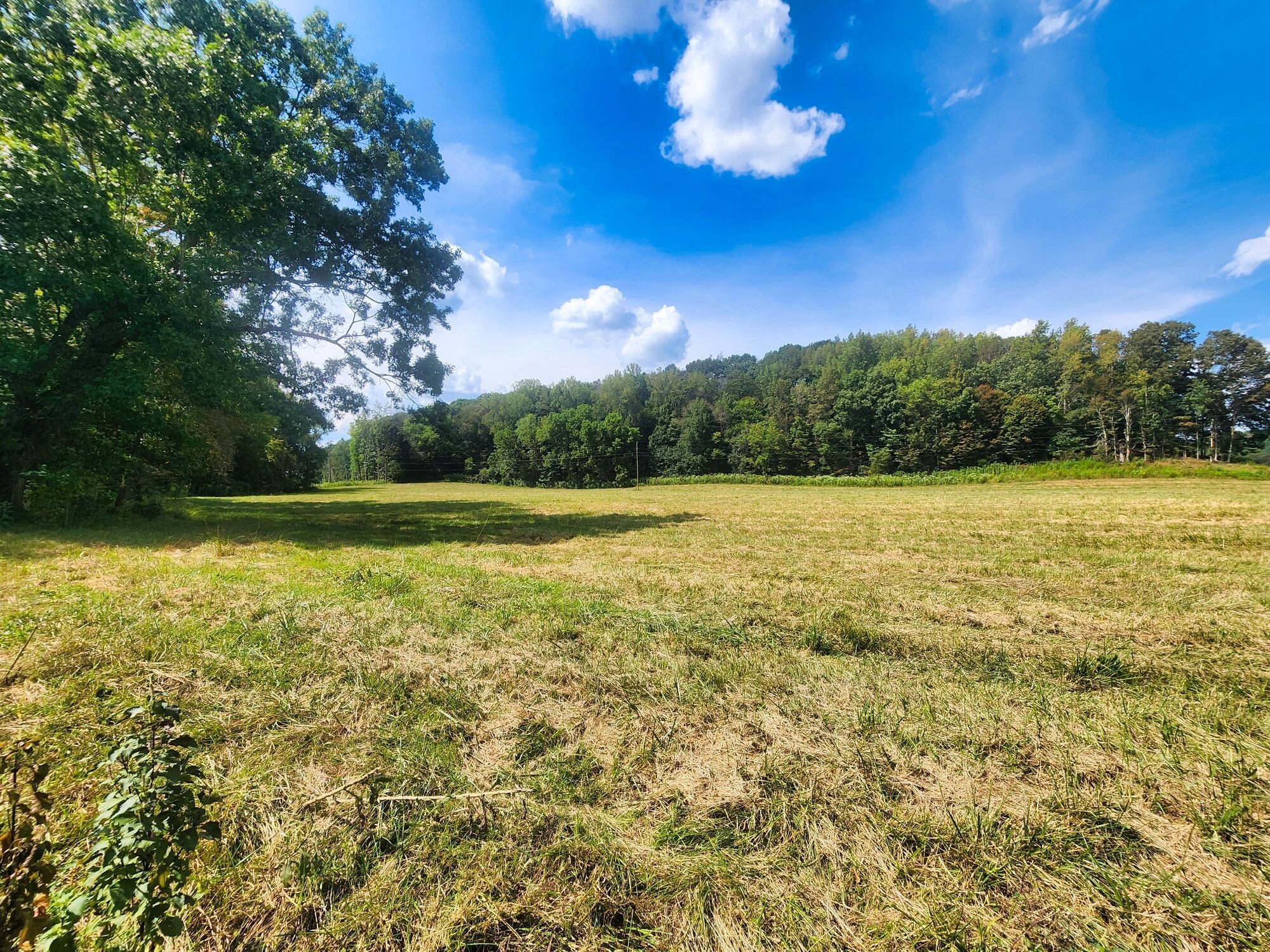 8312 Middle Butler Road Iron City TN 38463