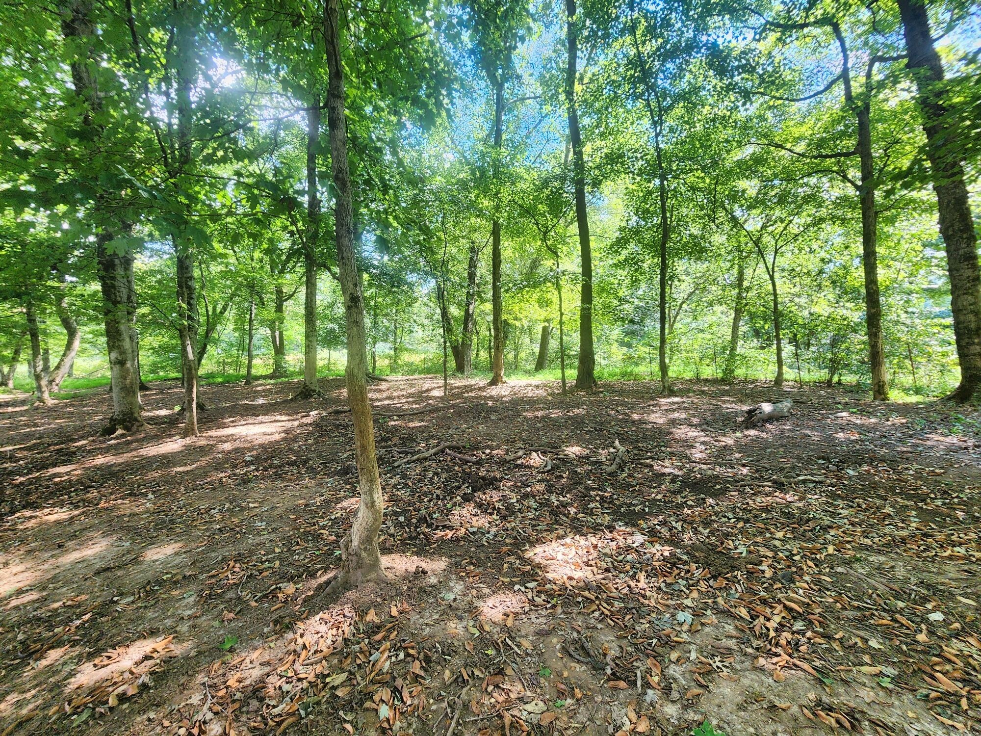 8312 Middle Butler Road Iron City TN 38463