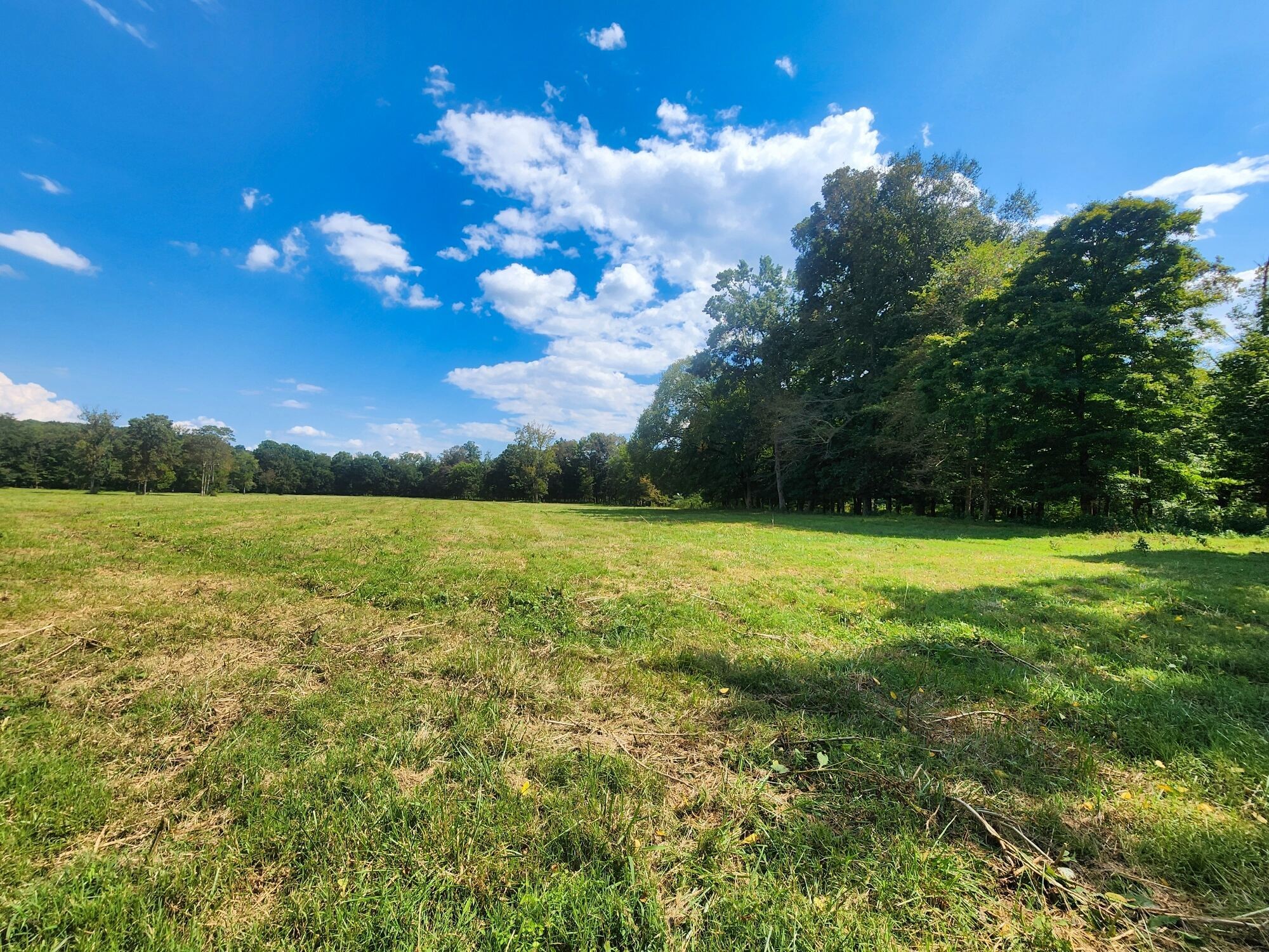 8312 Middle Butler Road Iron City TN 38463