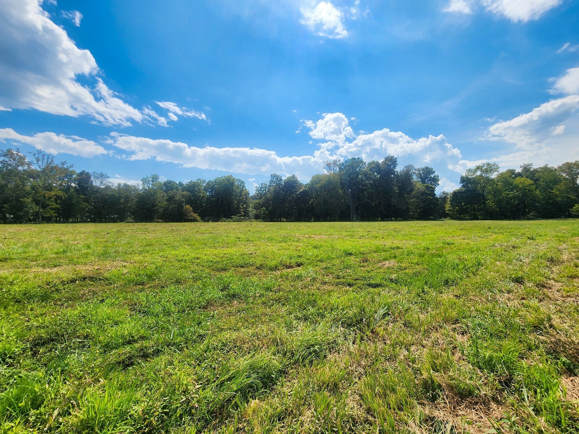 8312 Middle Butler Road Iron City TN 38463