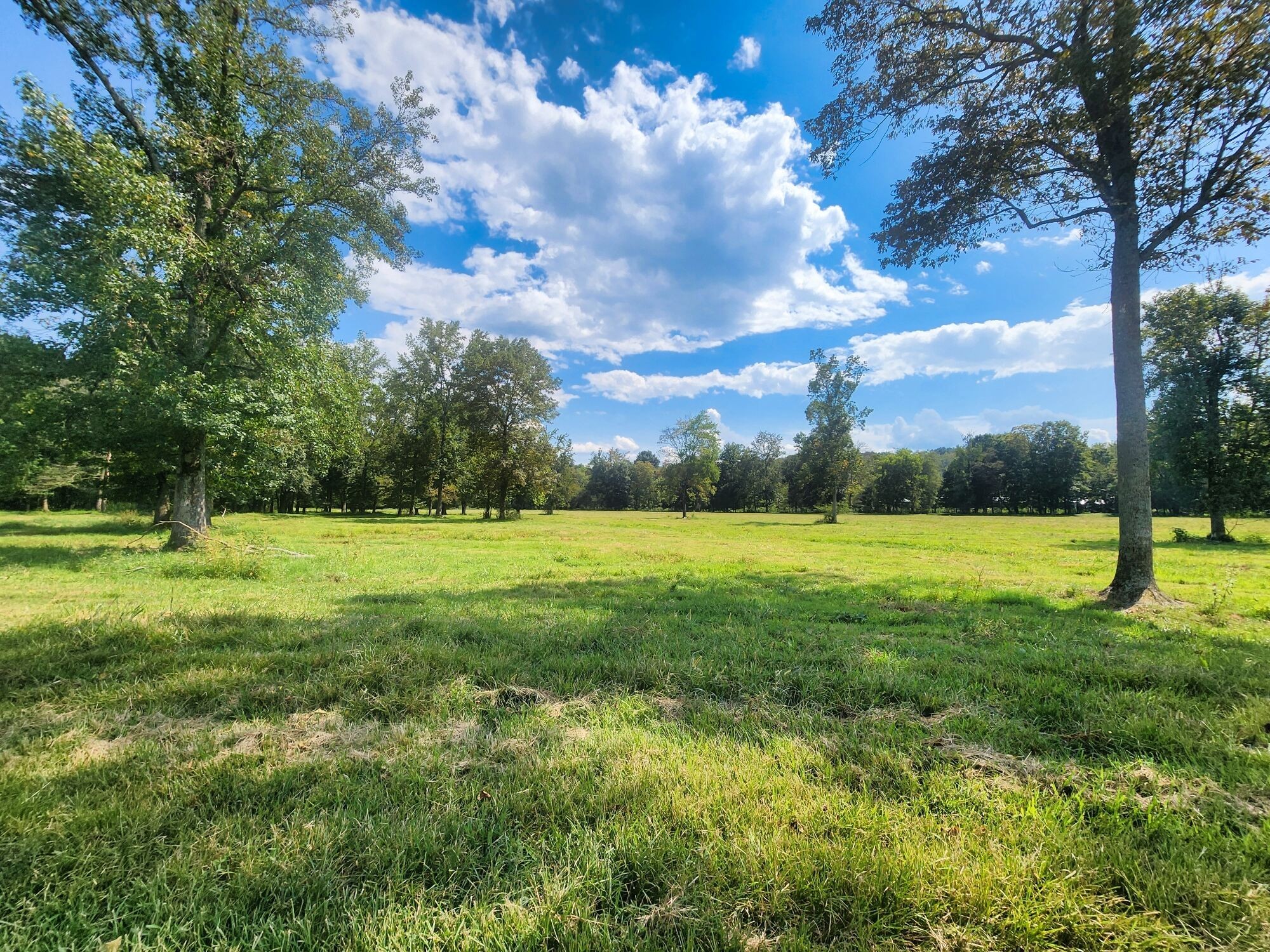 8312 Middle Butler Road Iron City TN 38463