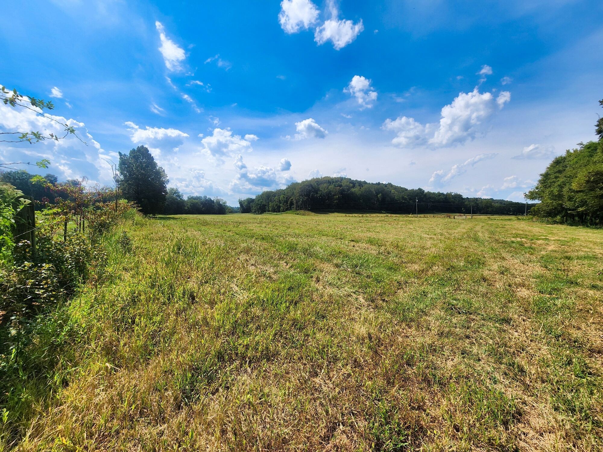 8312 Middle Butler Road Iron City TN 38463