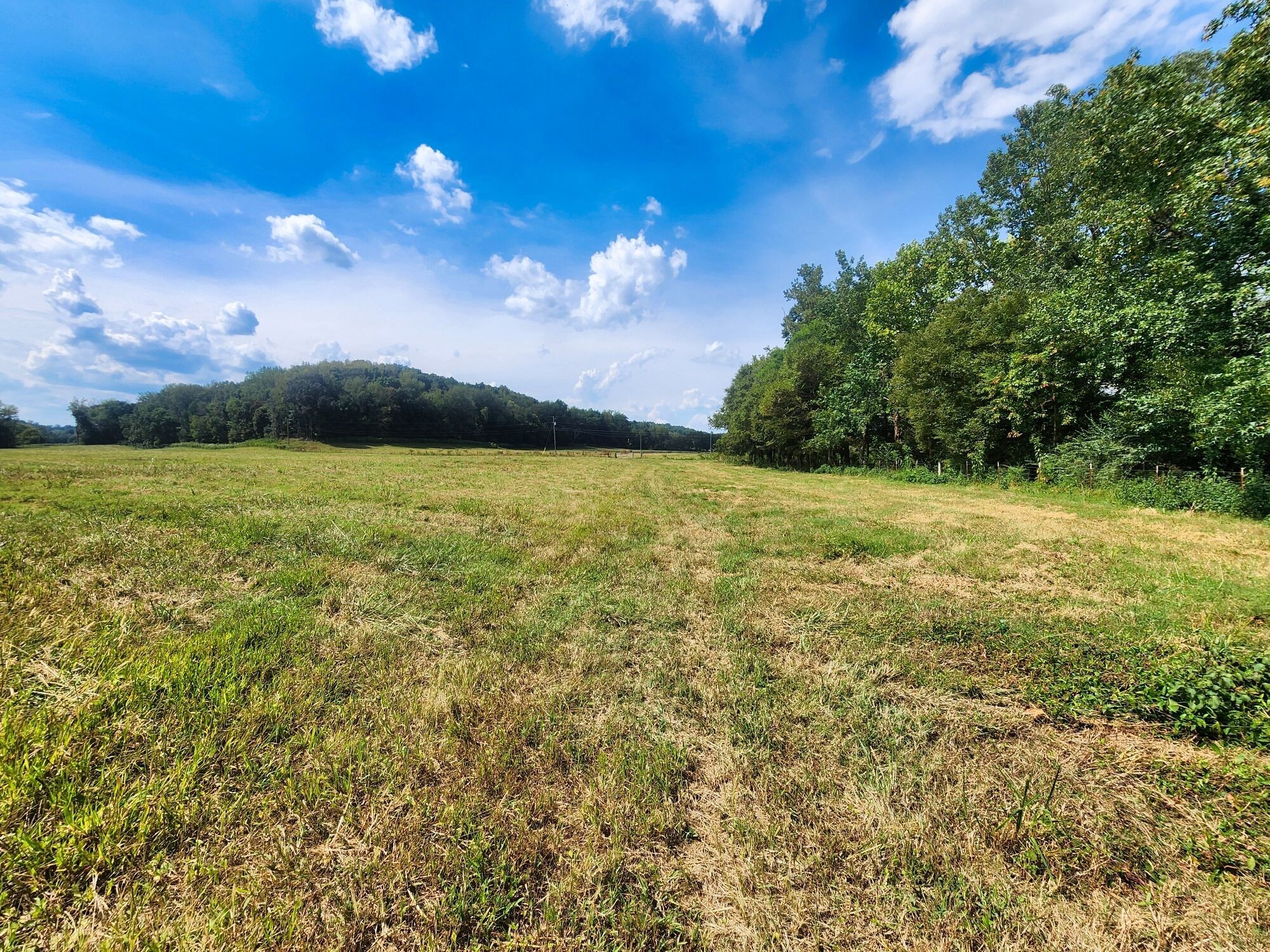 8312 Middle Butler Road Iron City TN 38463