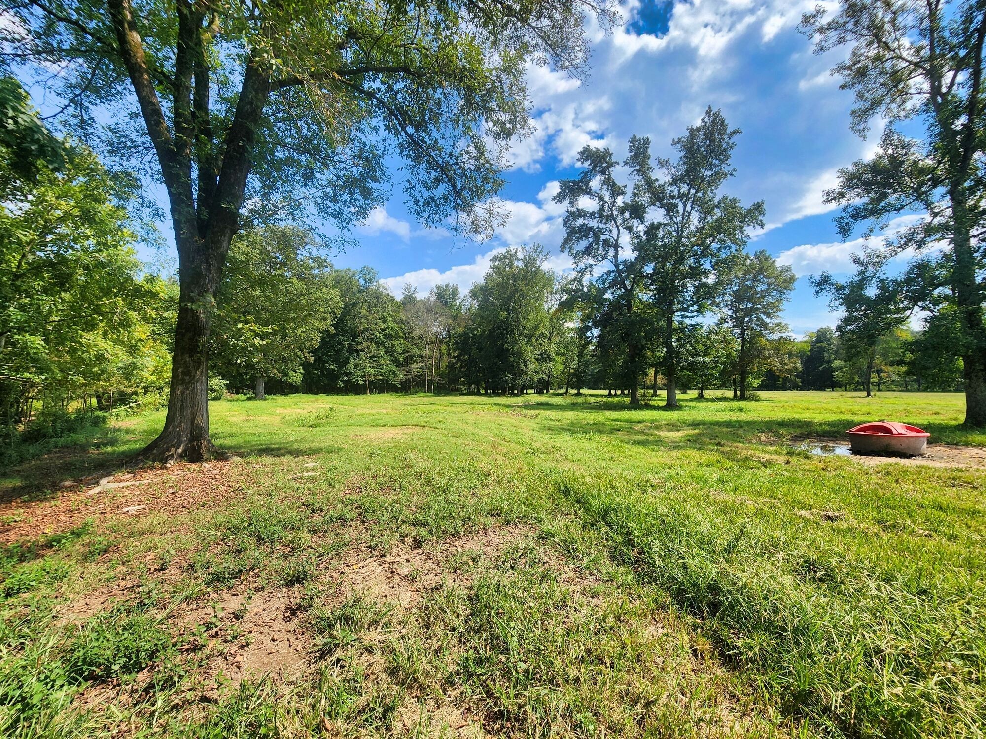 8312 Middle Butler Road Iron City TN 38463