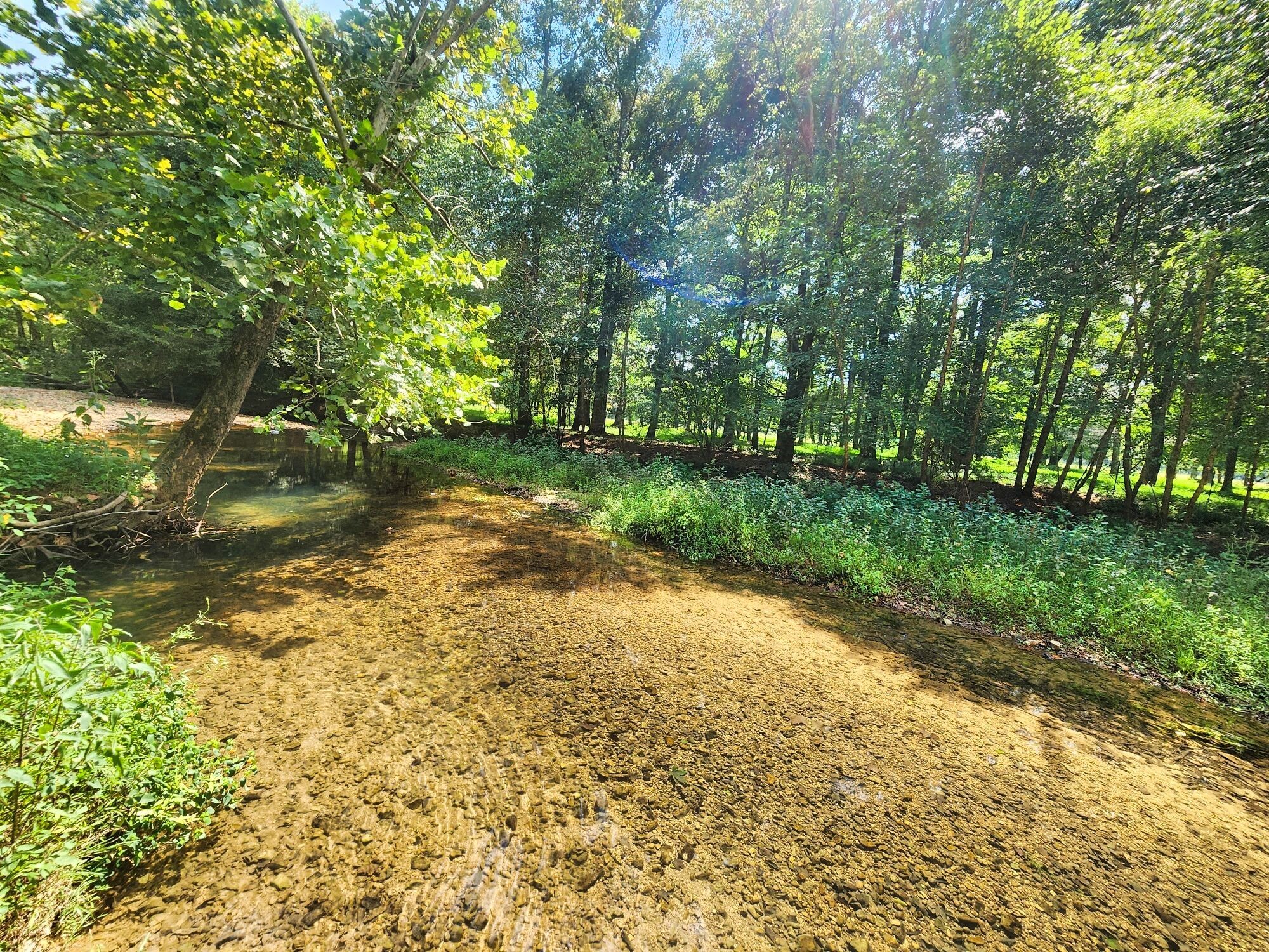 8312 Middle Butler Road Iron City TN 38463