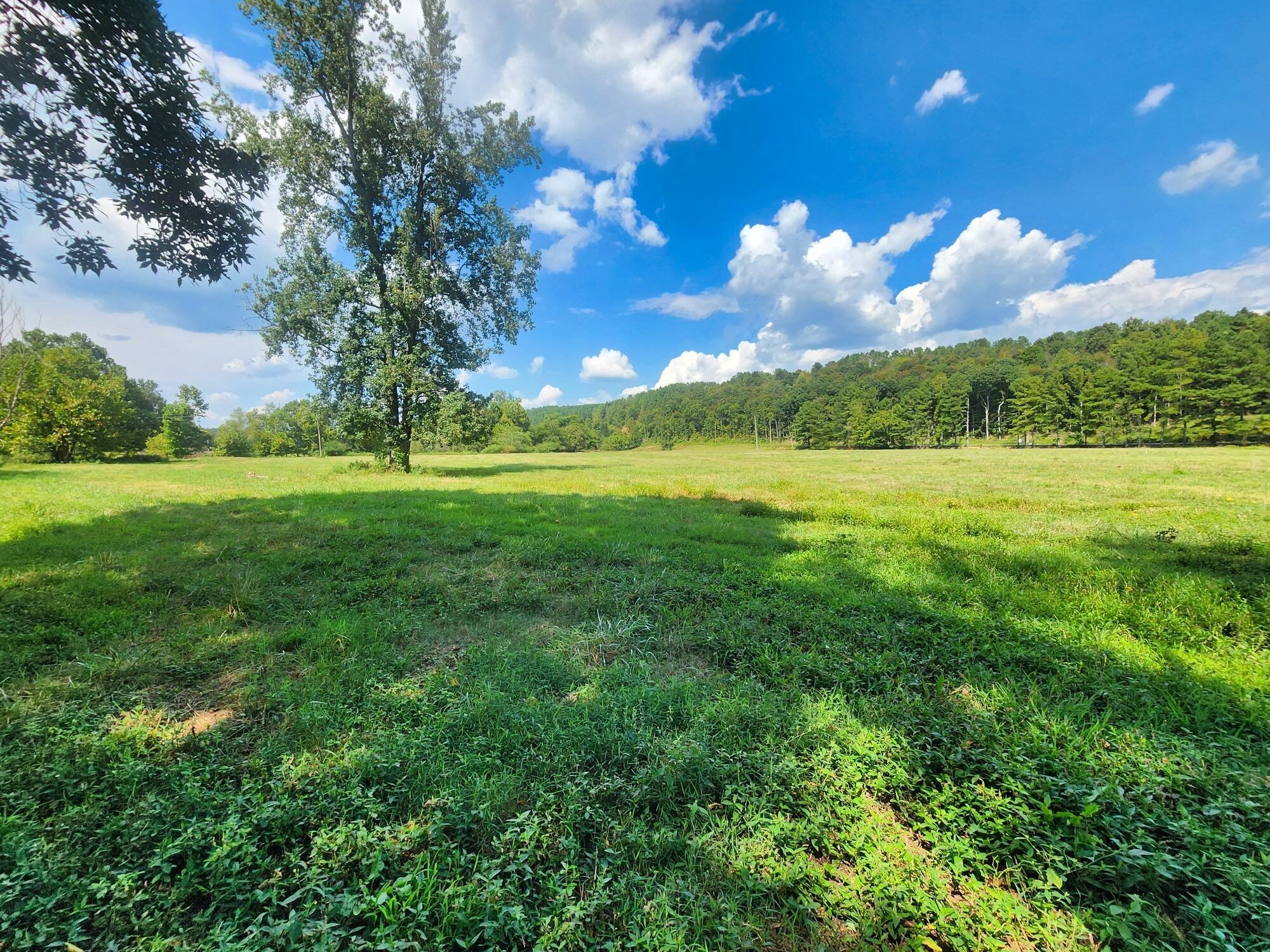 8312 Middle Butler Road Iron City TN 38463