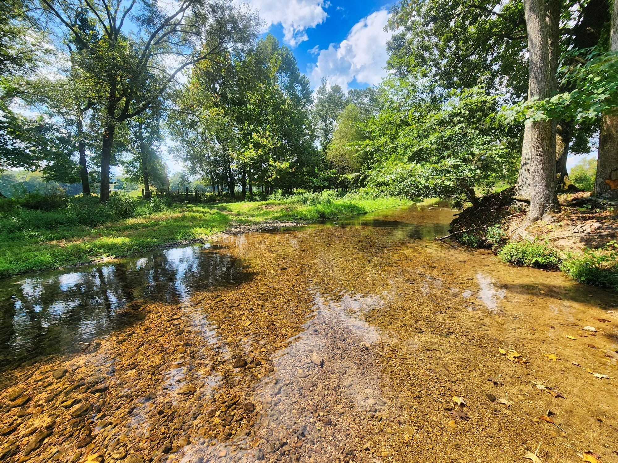 8312 Middle Butler Road Iron City TN 38463