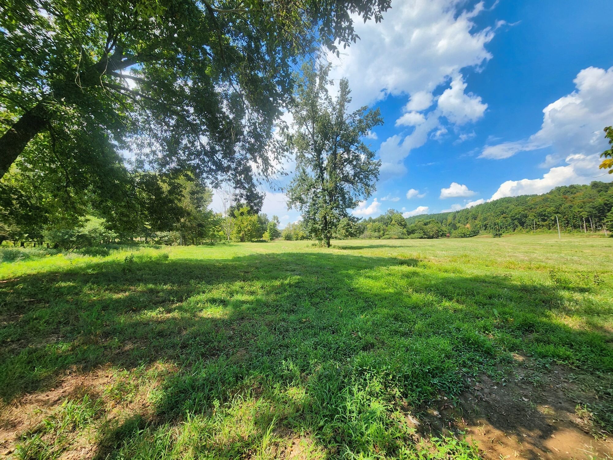 8312 Middle Butler Road Iron City TN 38463
