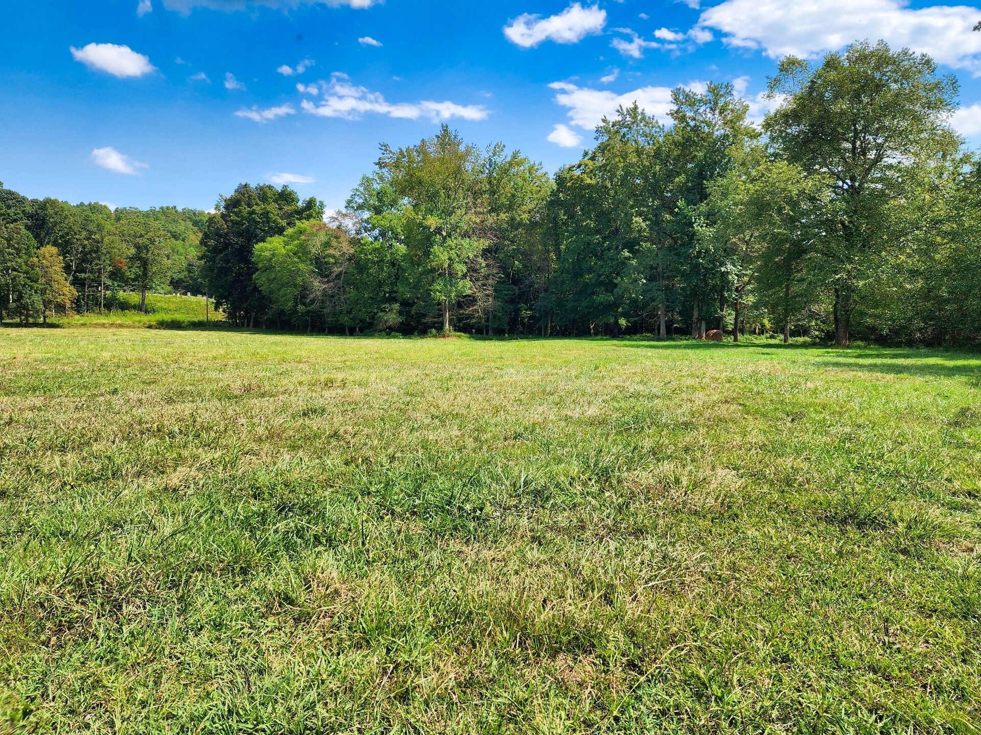 8312 Middle Butler Road Iron City TN 38463