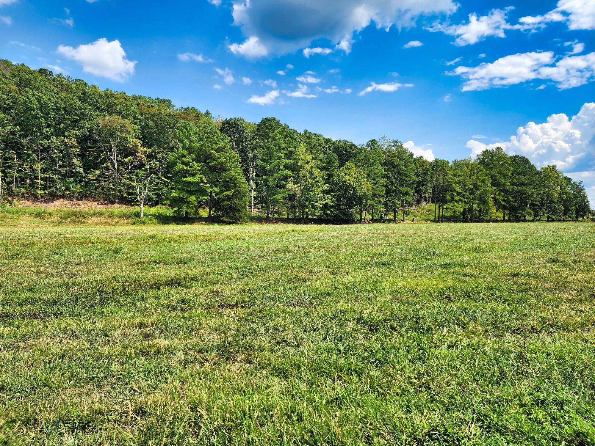 8312 Middle Butler Road Iron City TN 38463