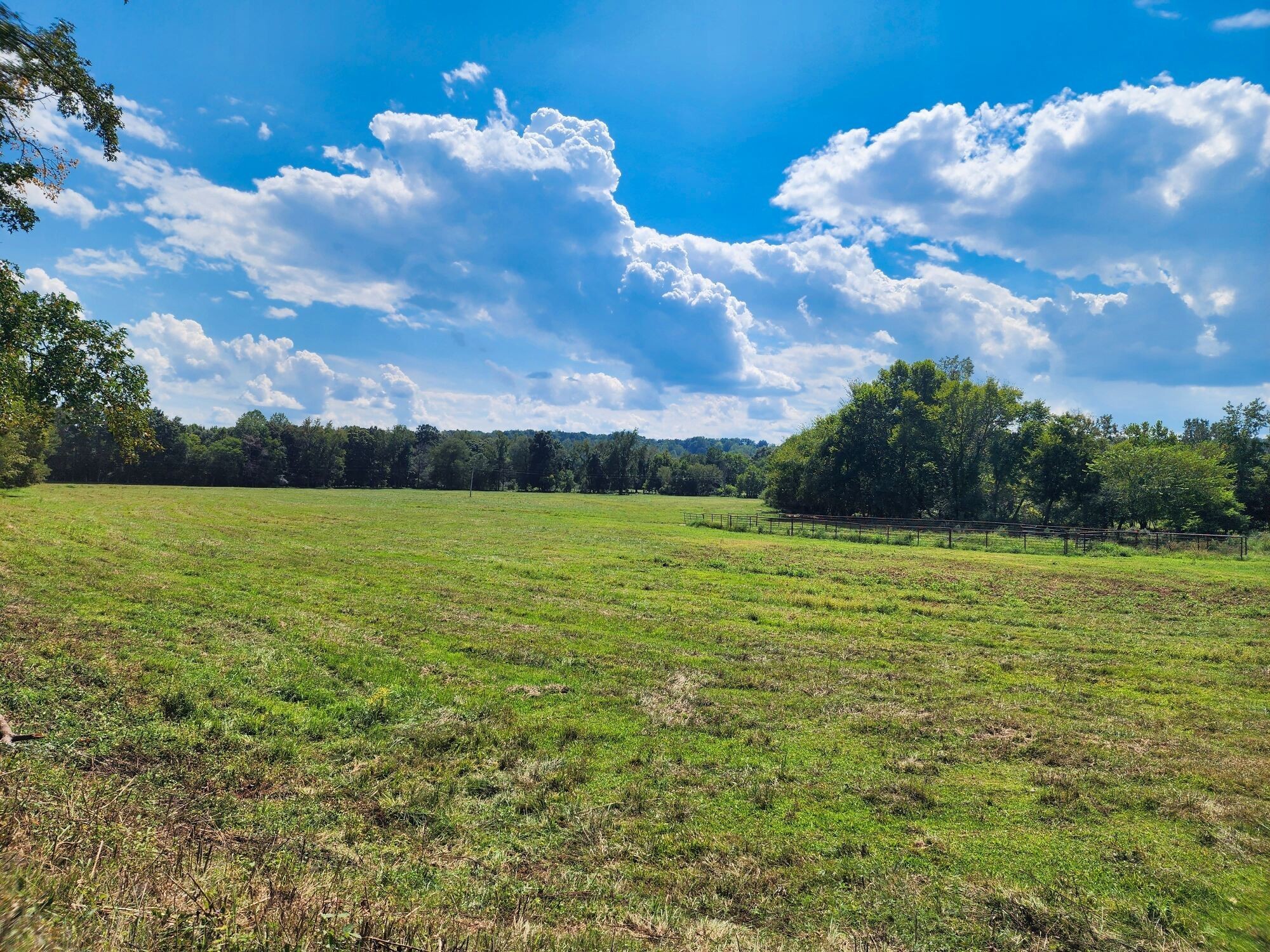 8312 Middle Butler Road Iron City TN 38463