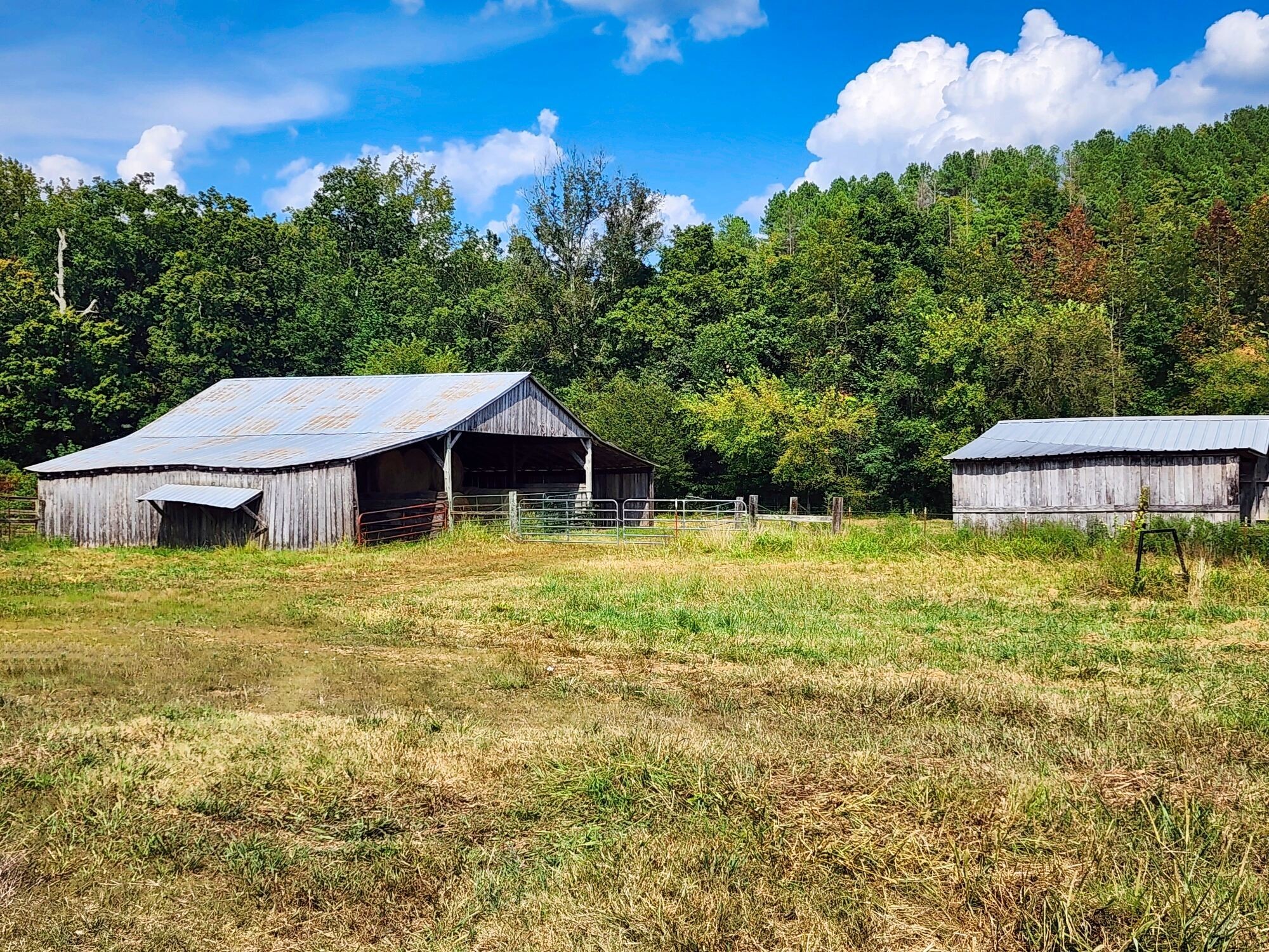 8312 Middle Butler Road Iron City TN 38463