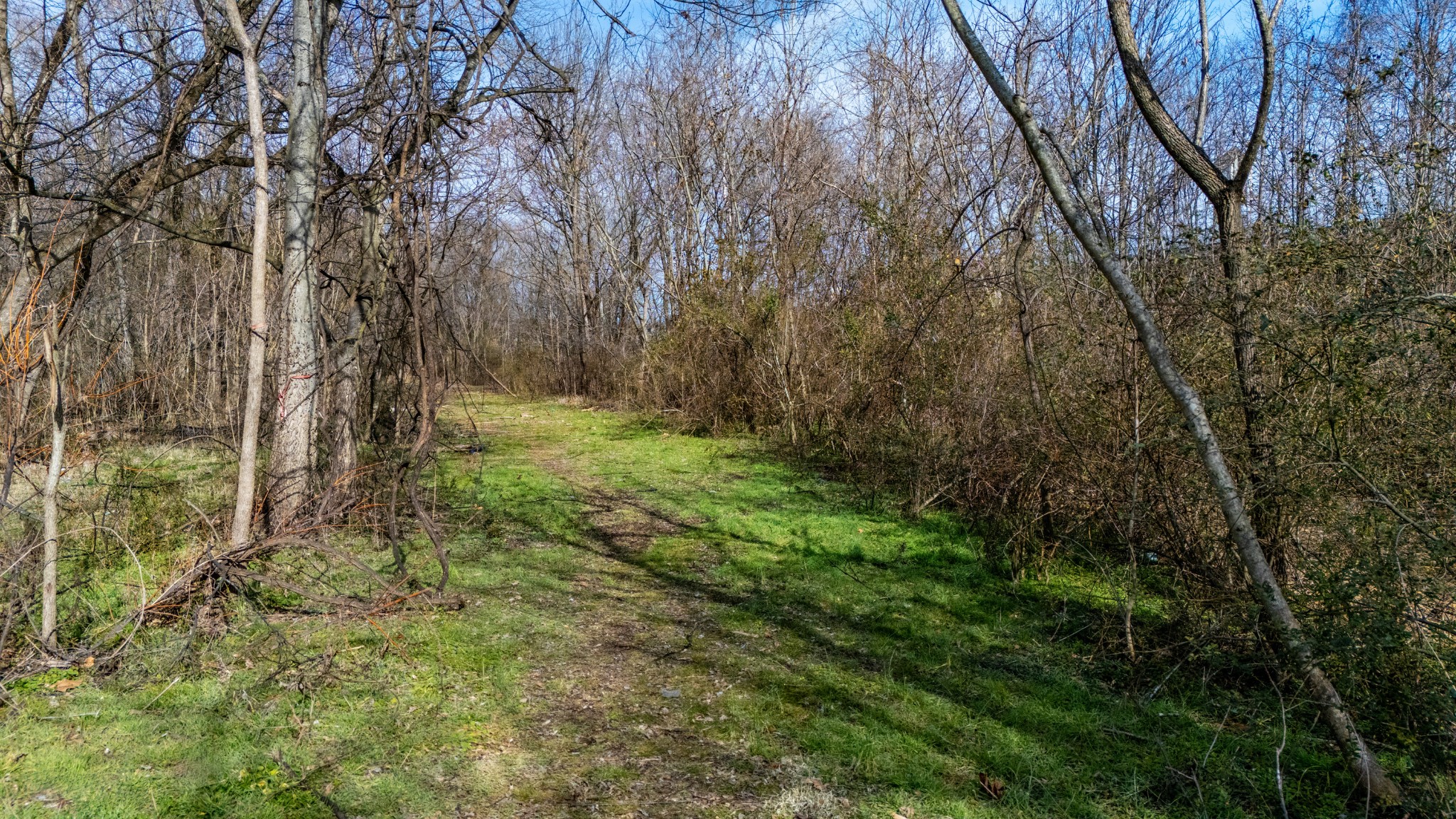 0 Henslee Drive Spring Street Dickson TN 37055