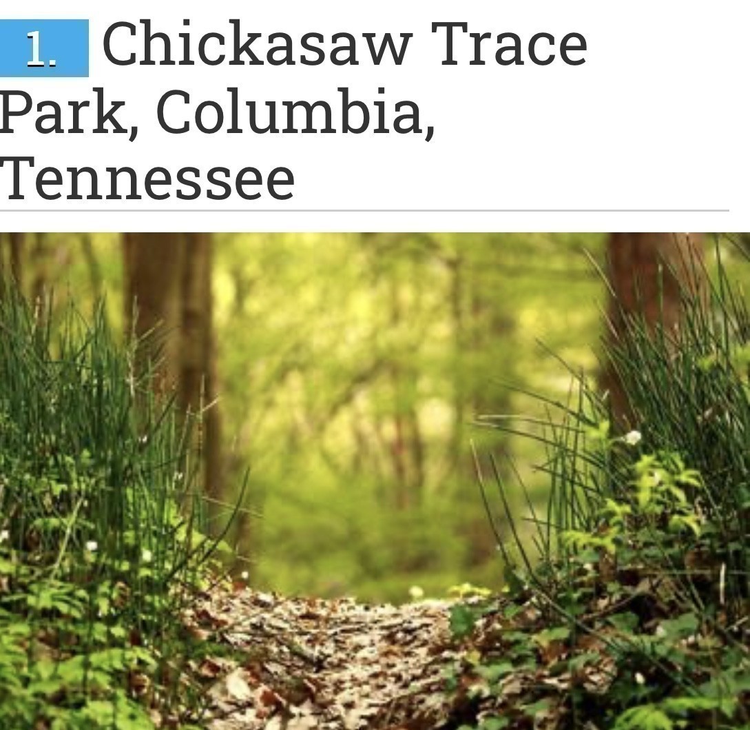 2319 Juneau Lane Columbia TN 38401