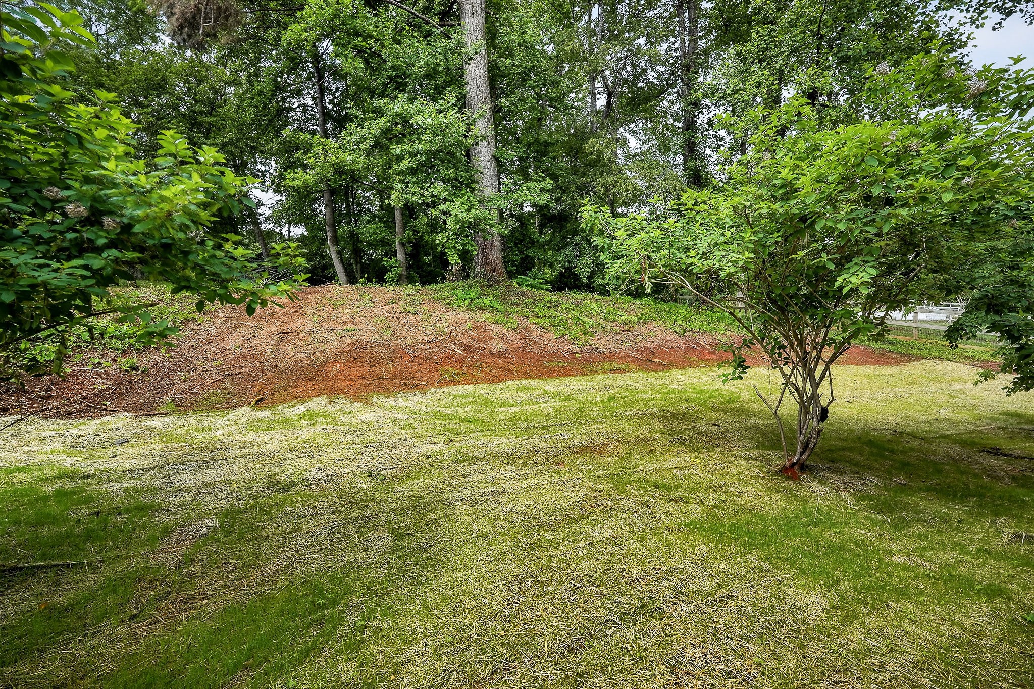 303 Westwood Drive Mcminnville TN 37110