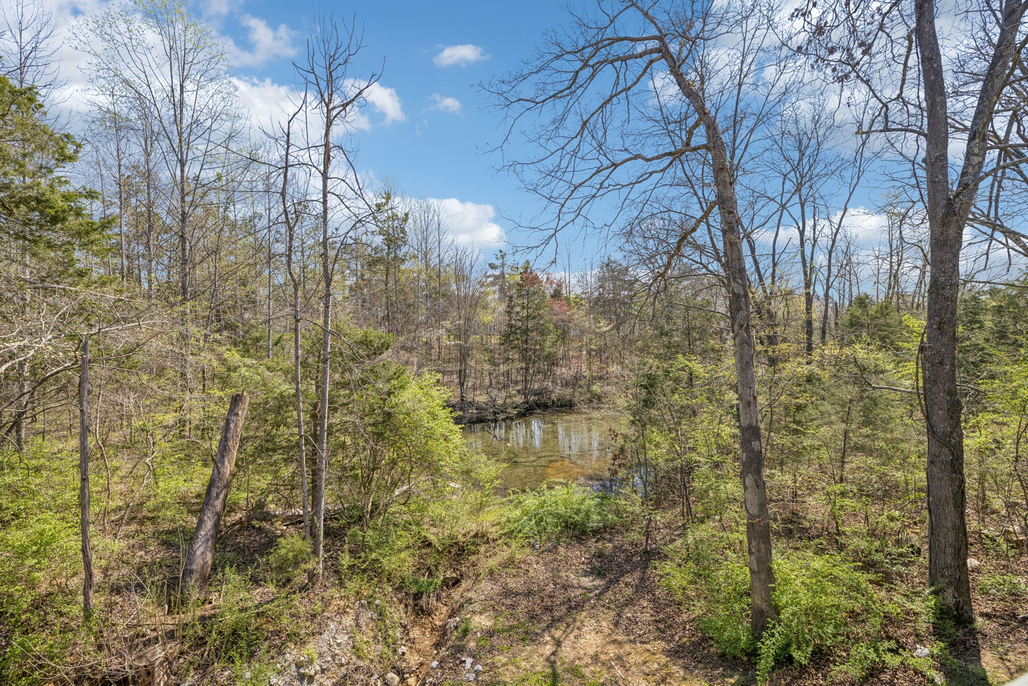 7503 Fernvale Springs Way Fairview TN 37062