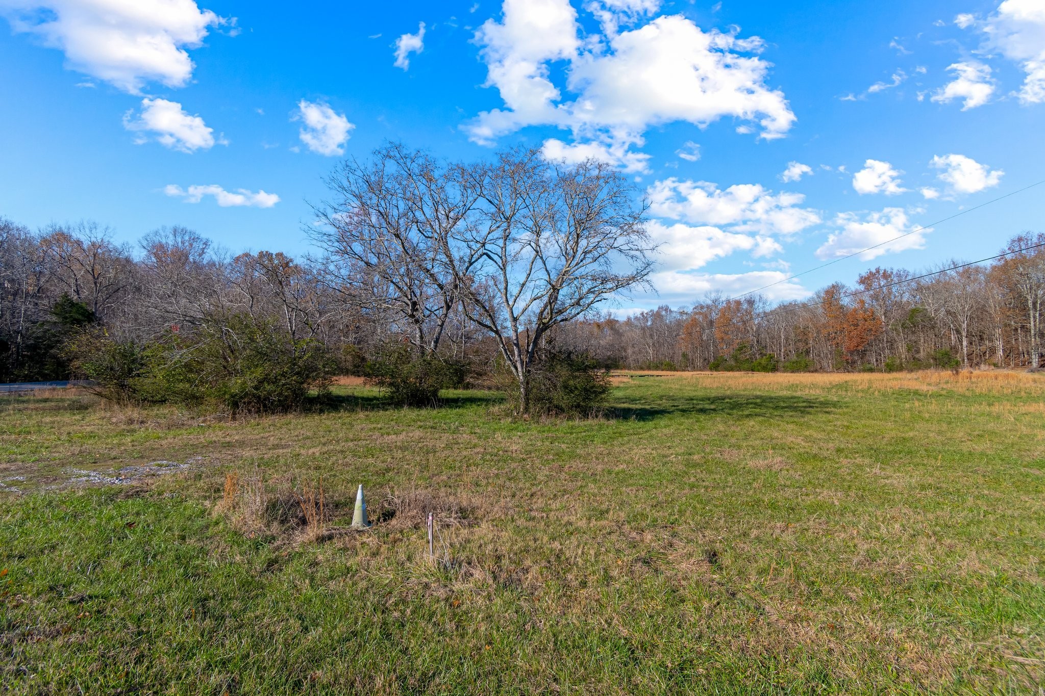0 Smithson Road College Grove TN 37046