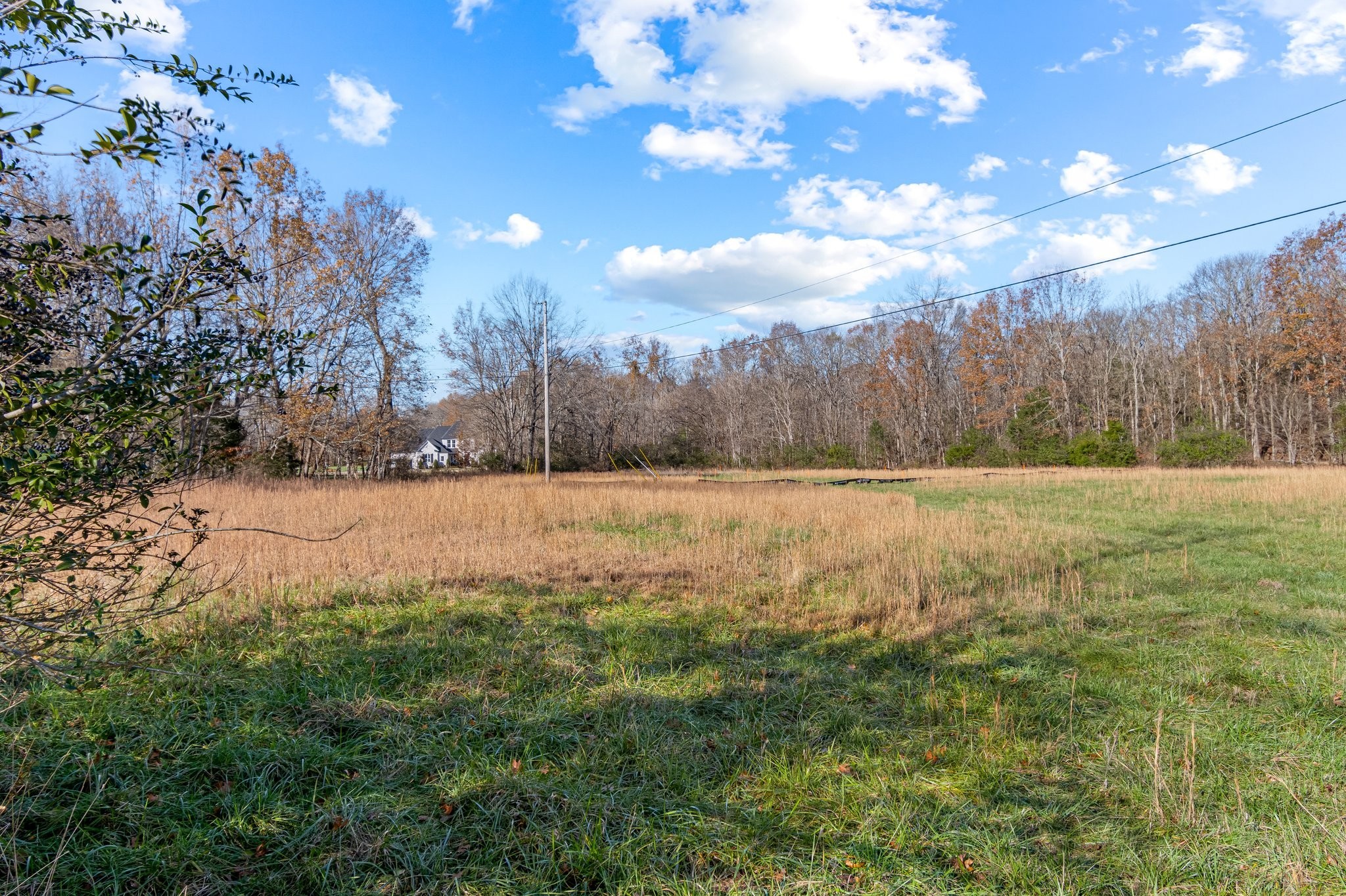 0 Smithson Road College Grove TN 37046