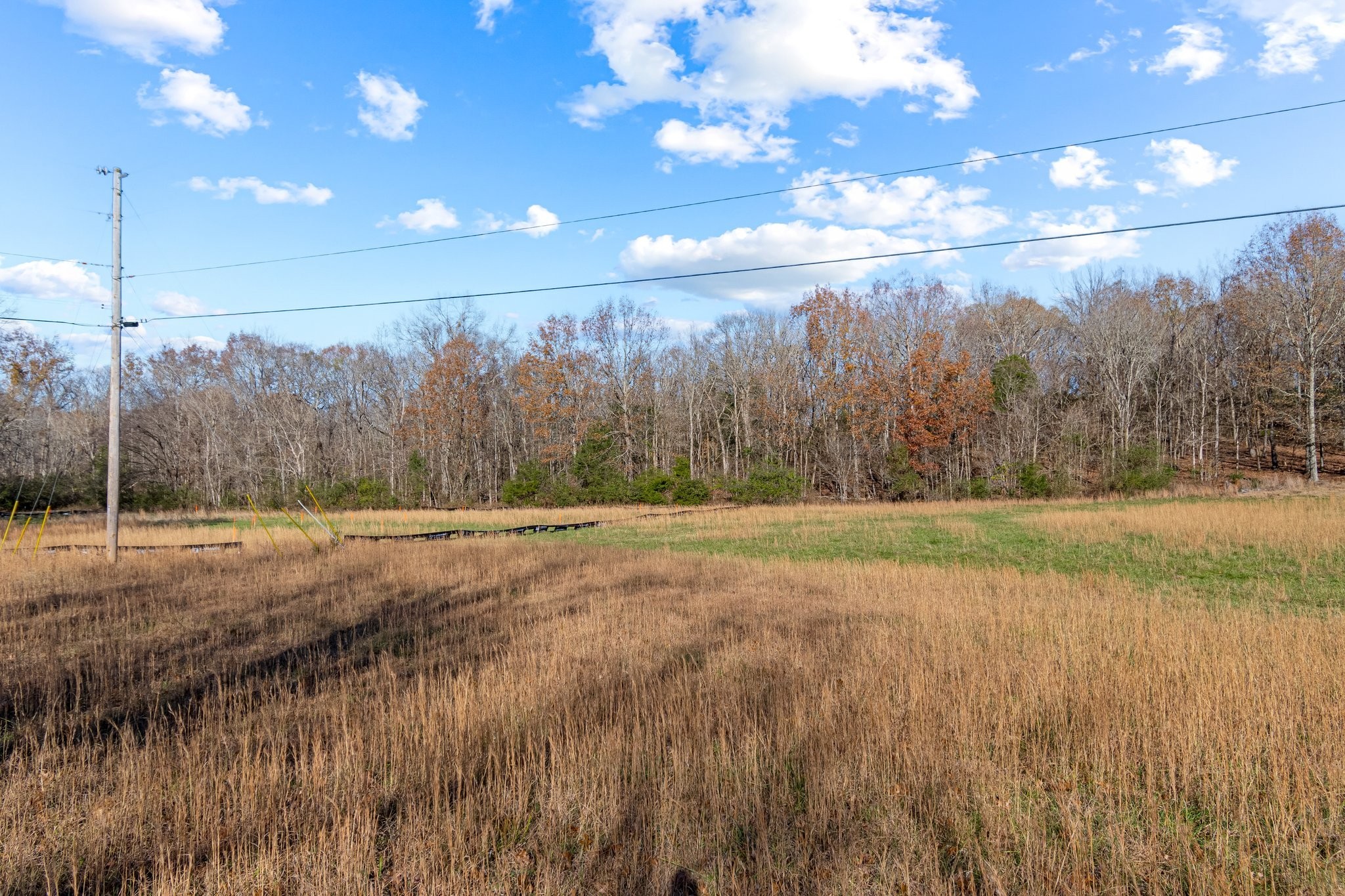 0 Smithson Road College Grove TN 37046