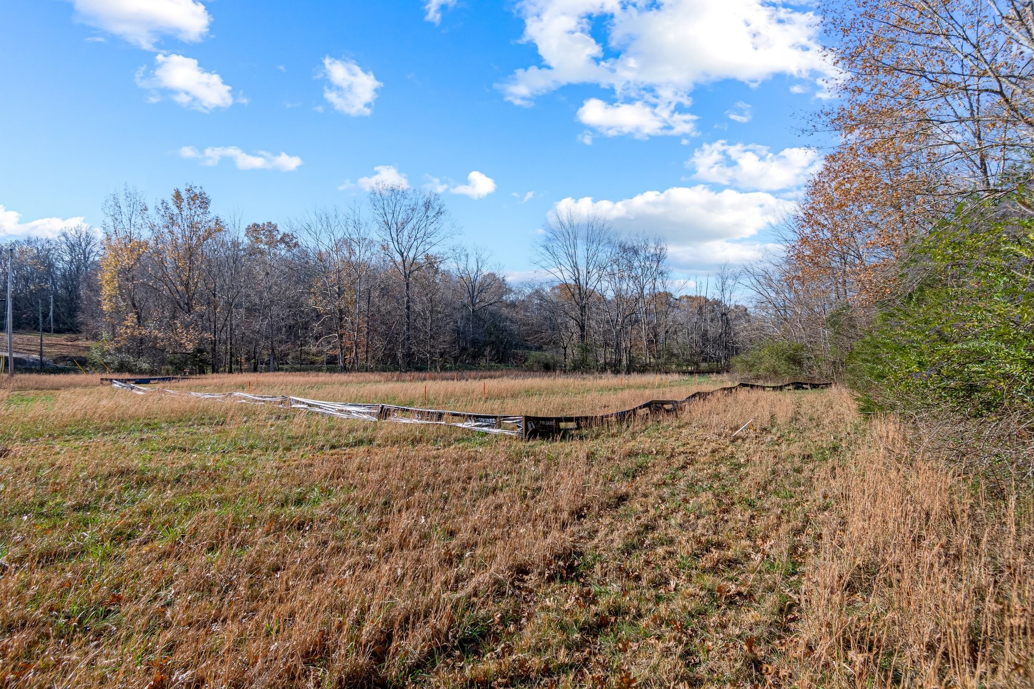 0 Smithson Road College Grove TN 37046