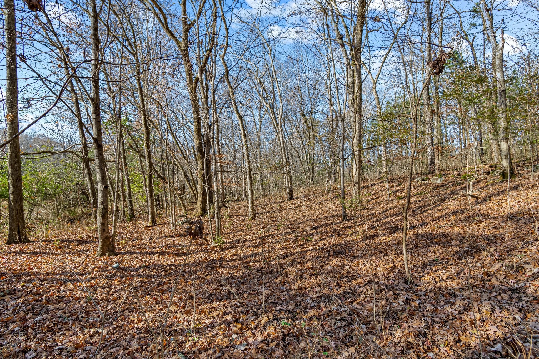 0 Smithson Road College Grove TN 37046