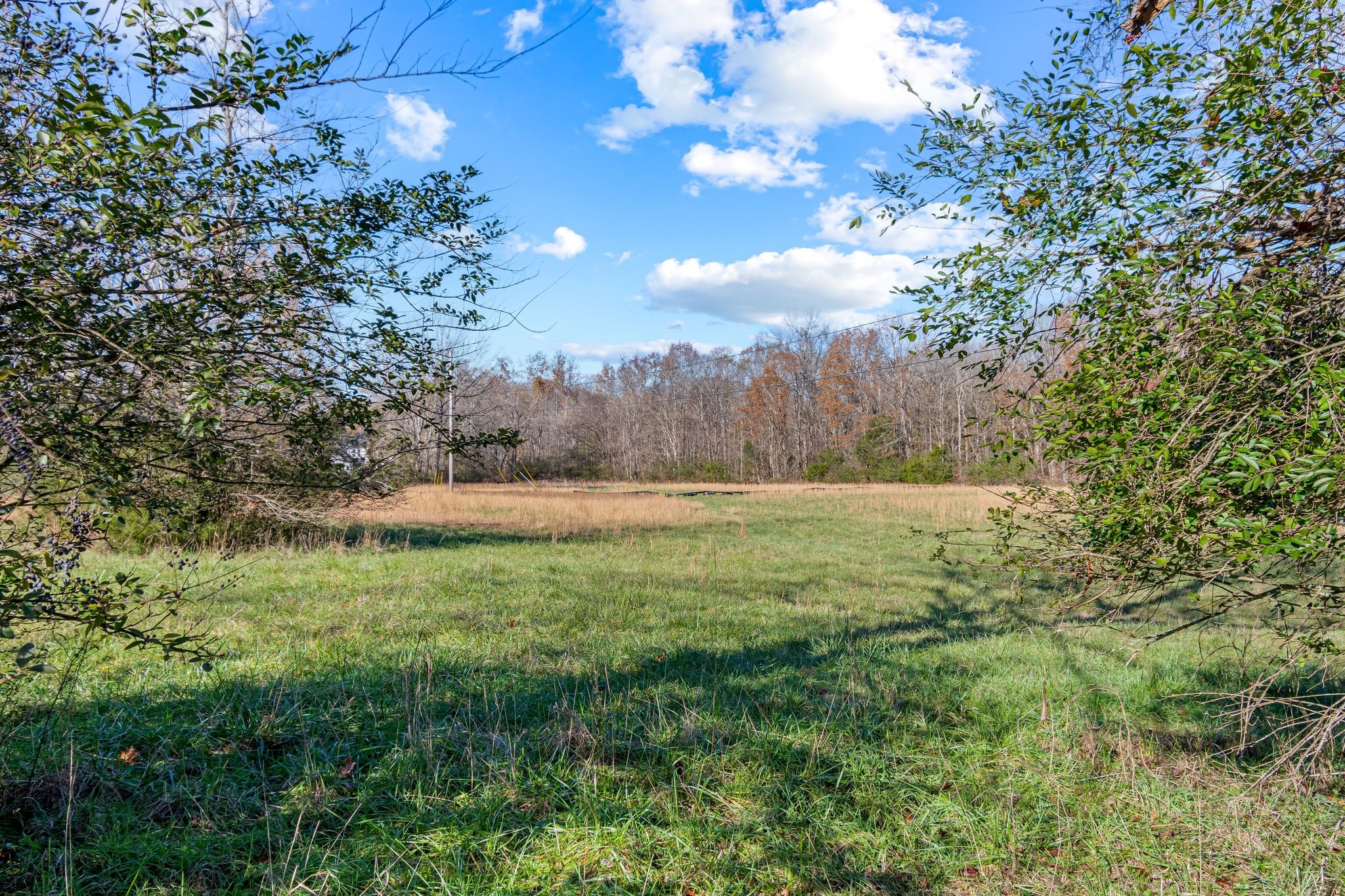 0 Smithson Road College Grove TN 37046