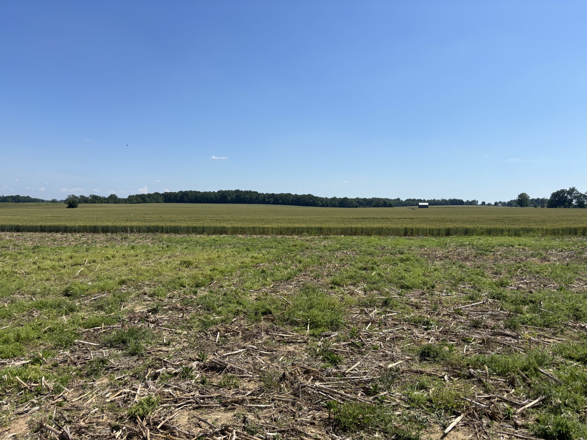 561 White Road Portland TN 37148