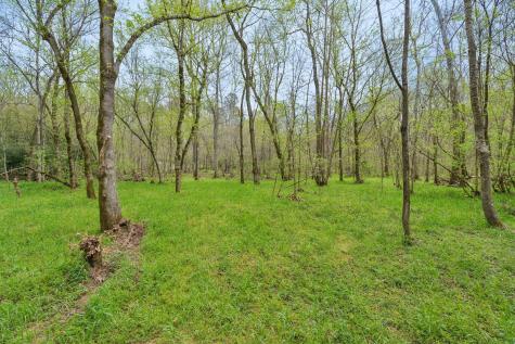 7375 Sac Lampley Road Bon Aqua TN 37025