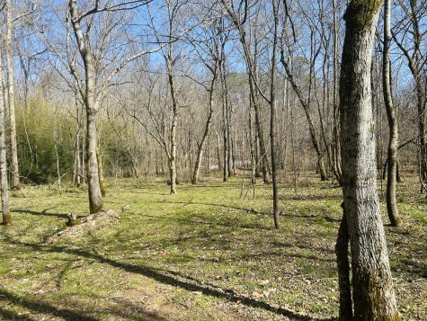 7375 Sac Lampley Road Bon Aqua TN 37025