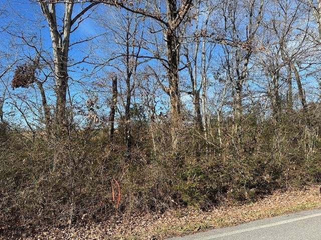 0 Green Chapel Road Franklin TN 37064