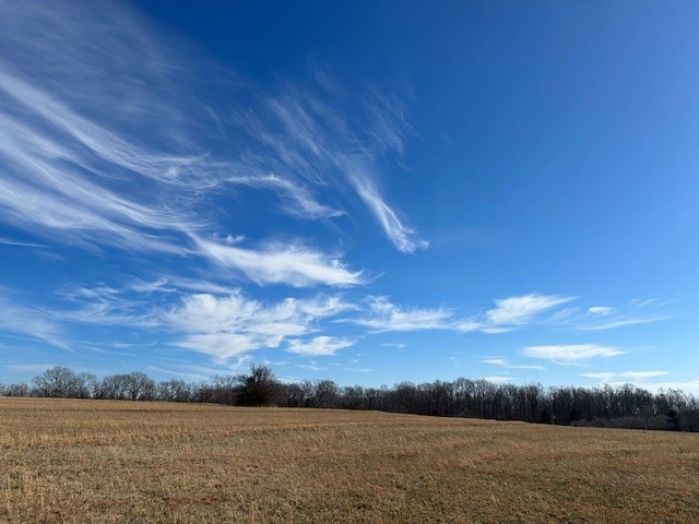 0 Green Chapel Road Franklin TN 37064