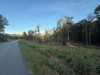 0 Jones Creek Road White Bluff TN 37187