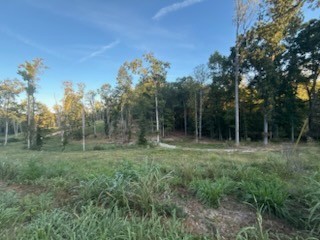 0 Jones Creek Road White Bluff TN 37187