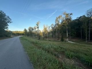 0 Jones Creek Road White Bluff TN 37187