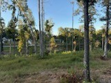 0 Jones Creek Road White Bluff TN 37187